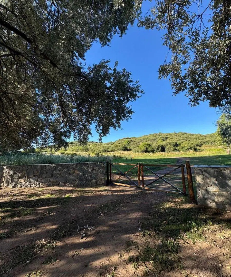 10 Lotes de 33 Ha en Santa Catalina 8