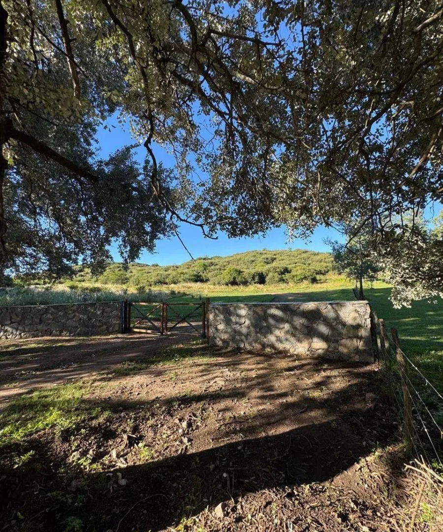 10 Lotes de 33 Ha en Santa Catalina 2