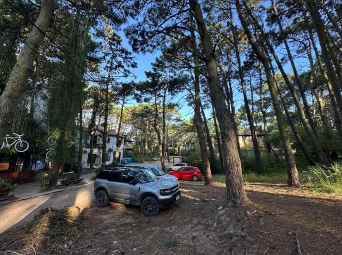 Venta de Dos Lotes Multifamiliares 2