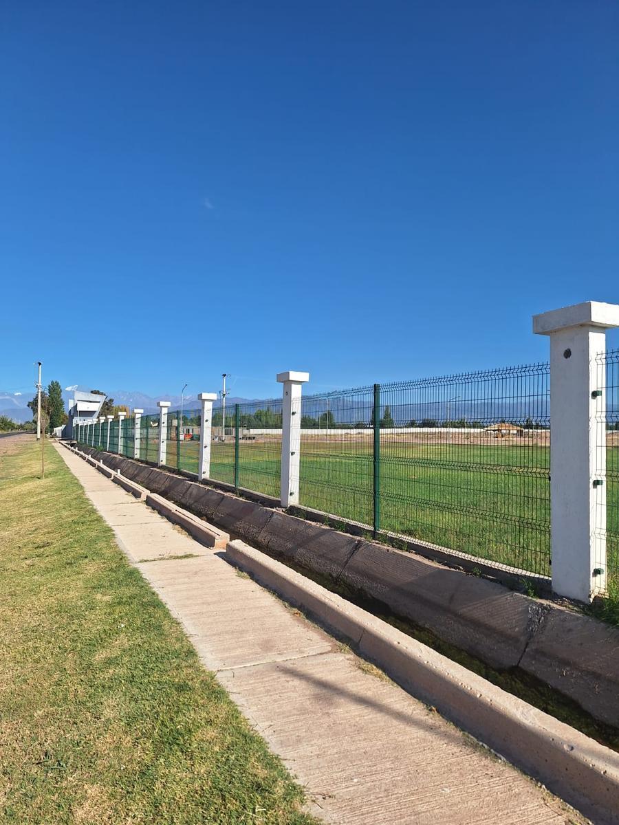 Venta de Lote 1
