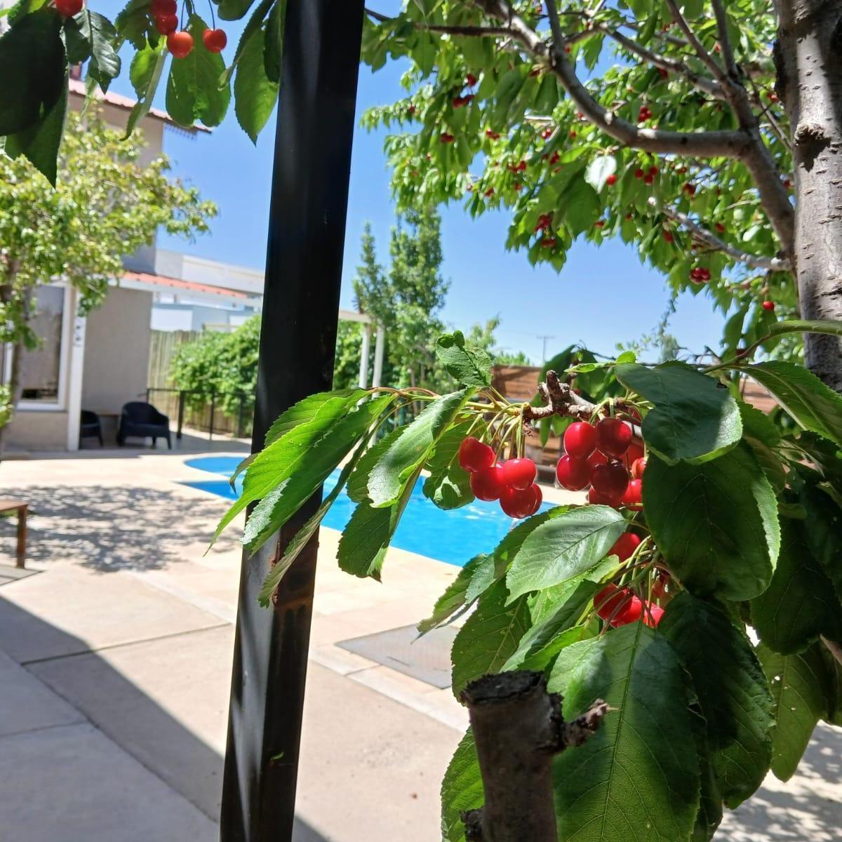 Se Vende Importante Casa Orientada Al Turismo, Vistalba, Mza. 4