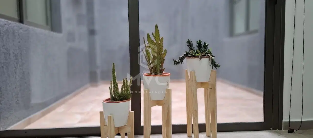 Se alquila departamento, 2 dormitorios, Planta baja, Luján de Cuyo. 3