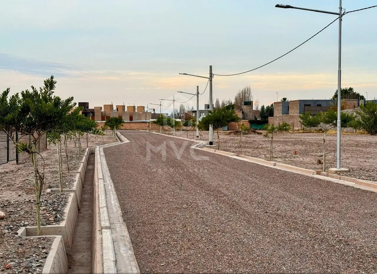 Lote en Venta en Luján de Cuyo 3