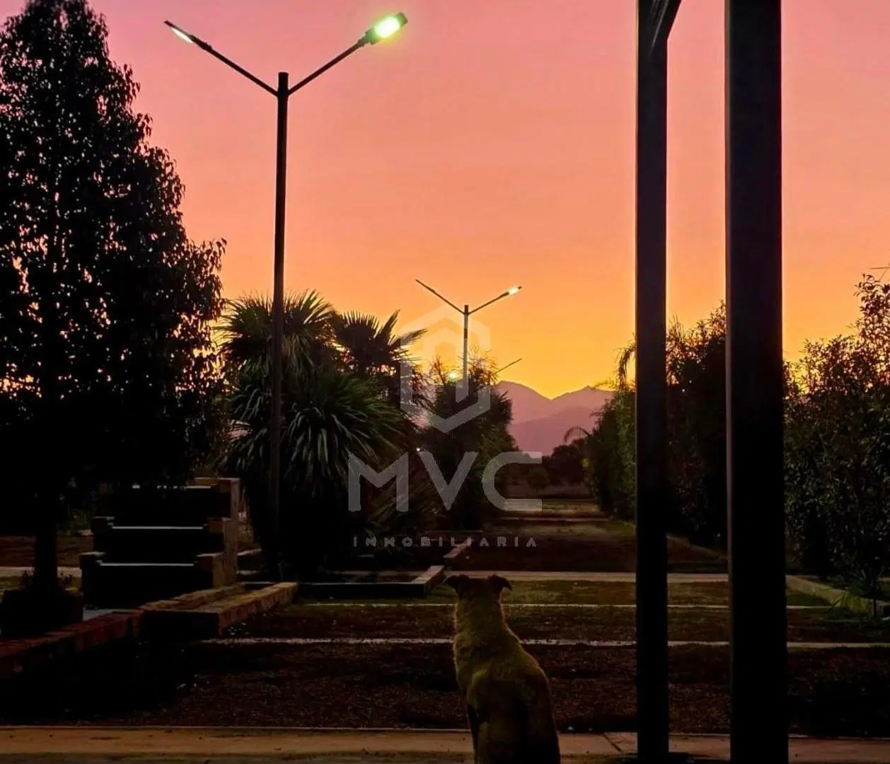 VENTA LOTES Barrio Cerrado, Sustentabilidad Real con Vista a la Montaña, Maipú, Mendoza. 5