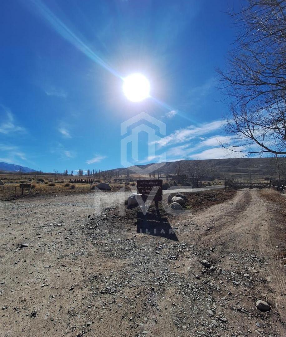 Foto de Terreno en Tupungato, imagen 5