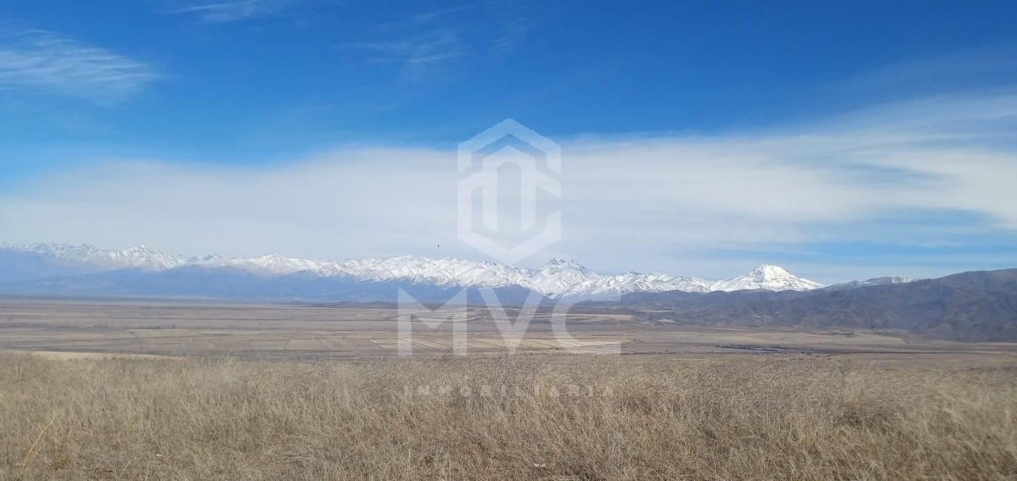 Foto de Terreno en Tupungato, imagen 3