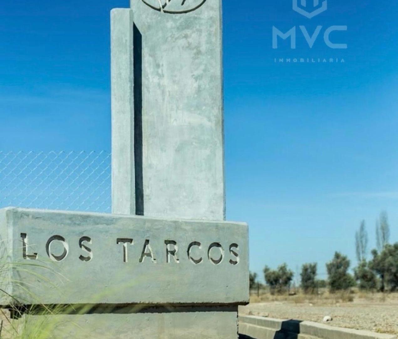 Foto de Terreno - Perdriel, imagen 4