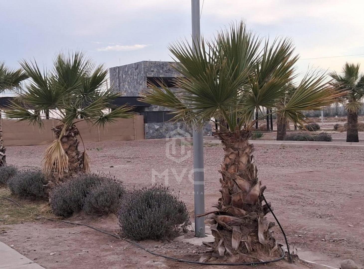 Foto de Terreno - Lujan De Cuyo, imagen 2