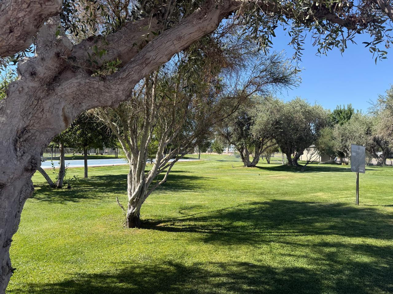 Foto de Venta de Lote esquina Central, imagen 2