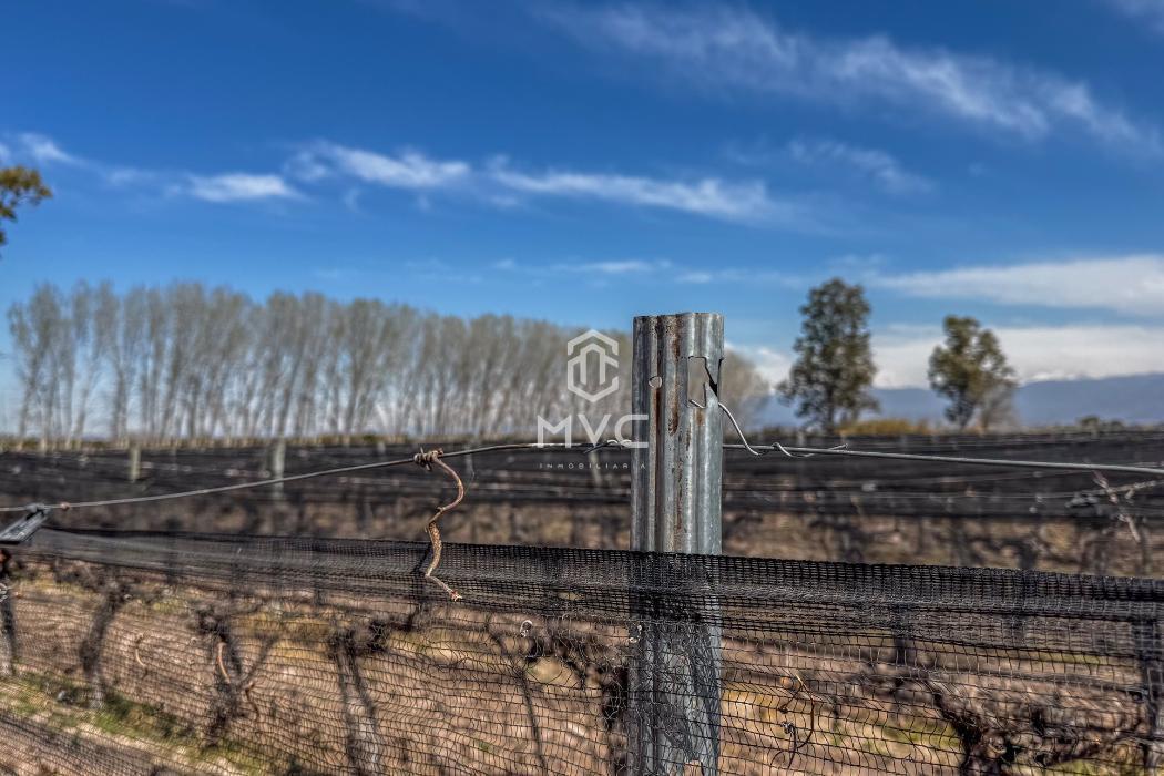 Foto de Finca en Venta ROQUE SAENZ PEÑA Y SEVERO DEL CASTILLO, Guaymallén, imagen 1