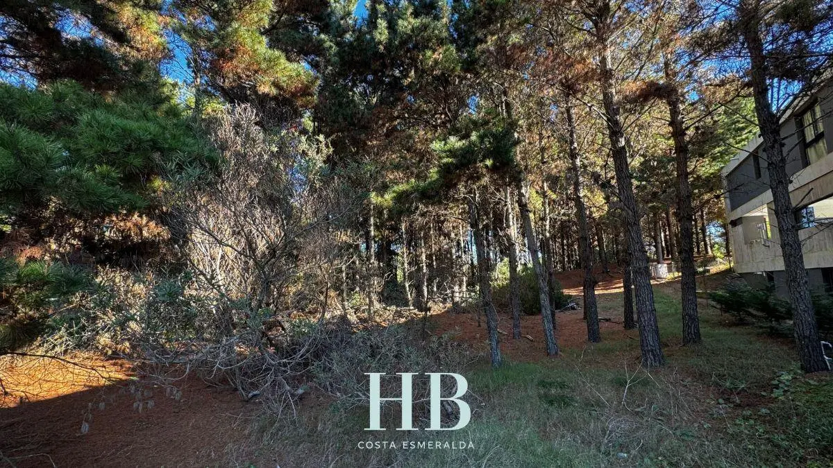 Terreno en venta en Senderos IV 5