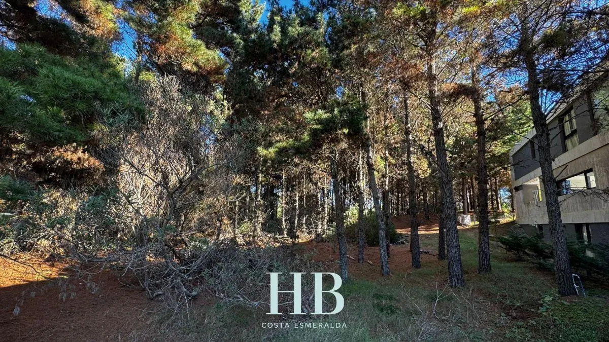 Terreno en venta en Senderos IV 4