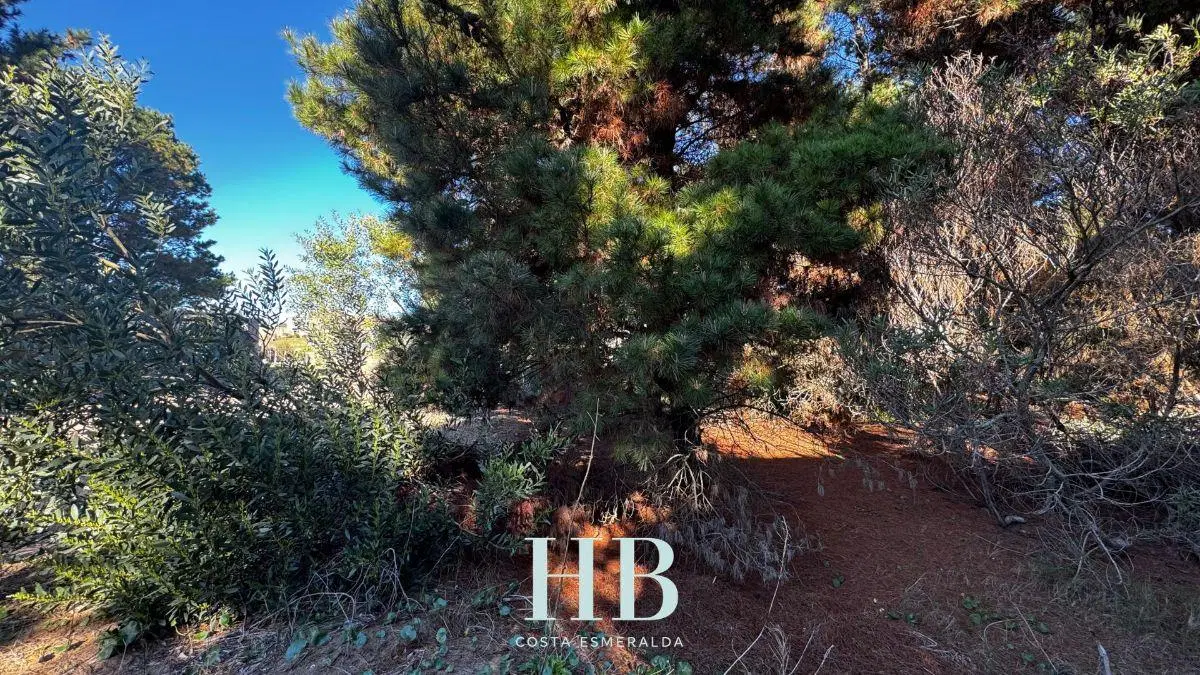 Terreno en venta en Senderos IV 1
