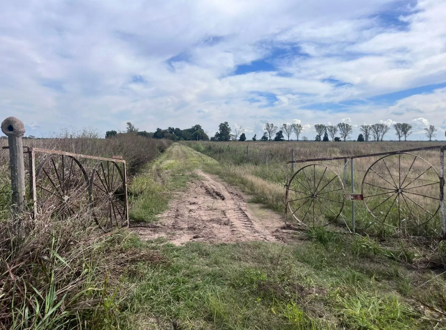 Campo en Esperanza 4