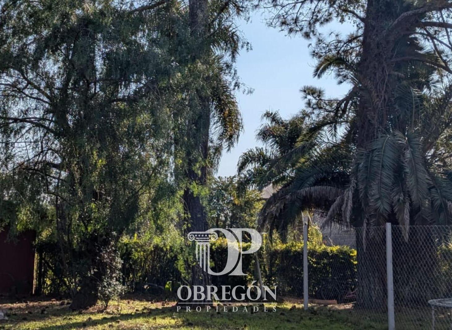 Foto de Lote en Ingeniero Maschwitz – 236 m² | Financiación directa, imagen 3