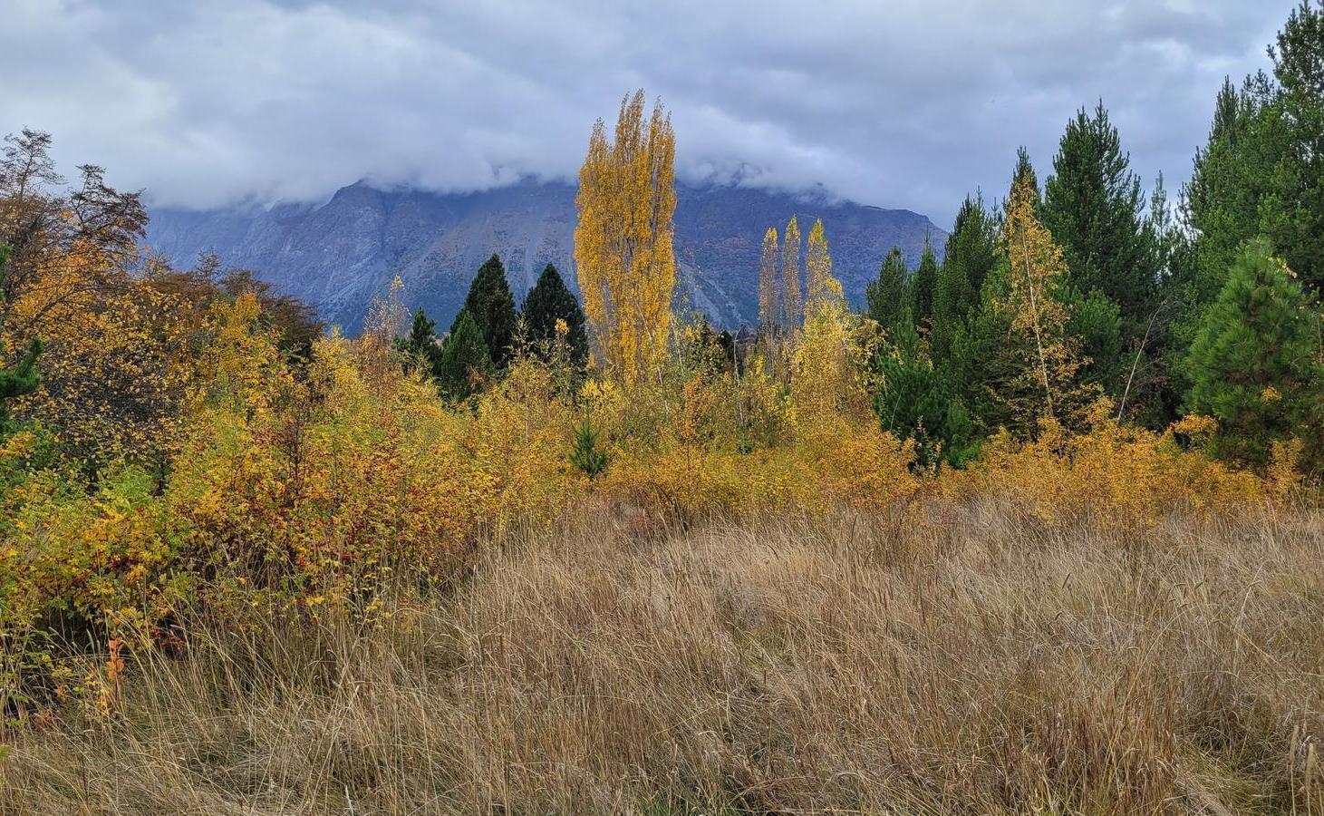 Foto de Terreno de 3.100 m2 a la venta - Las Golondrinas, Chubut., imagen 4