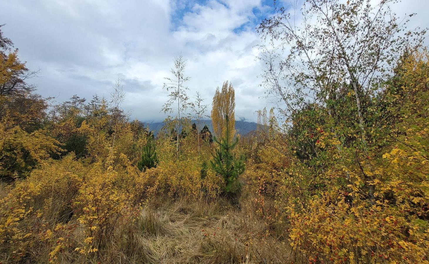 Foto de Terreno de 3.100 m2 a la venta - Las Golondrinas, Chubut., imagen 3
