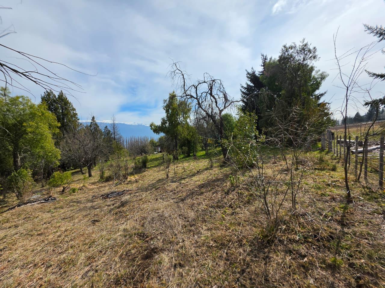 Foto de Media Hectarea con bosque nativo en Las Golondrinas, Chubut, imagen 3