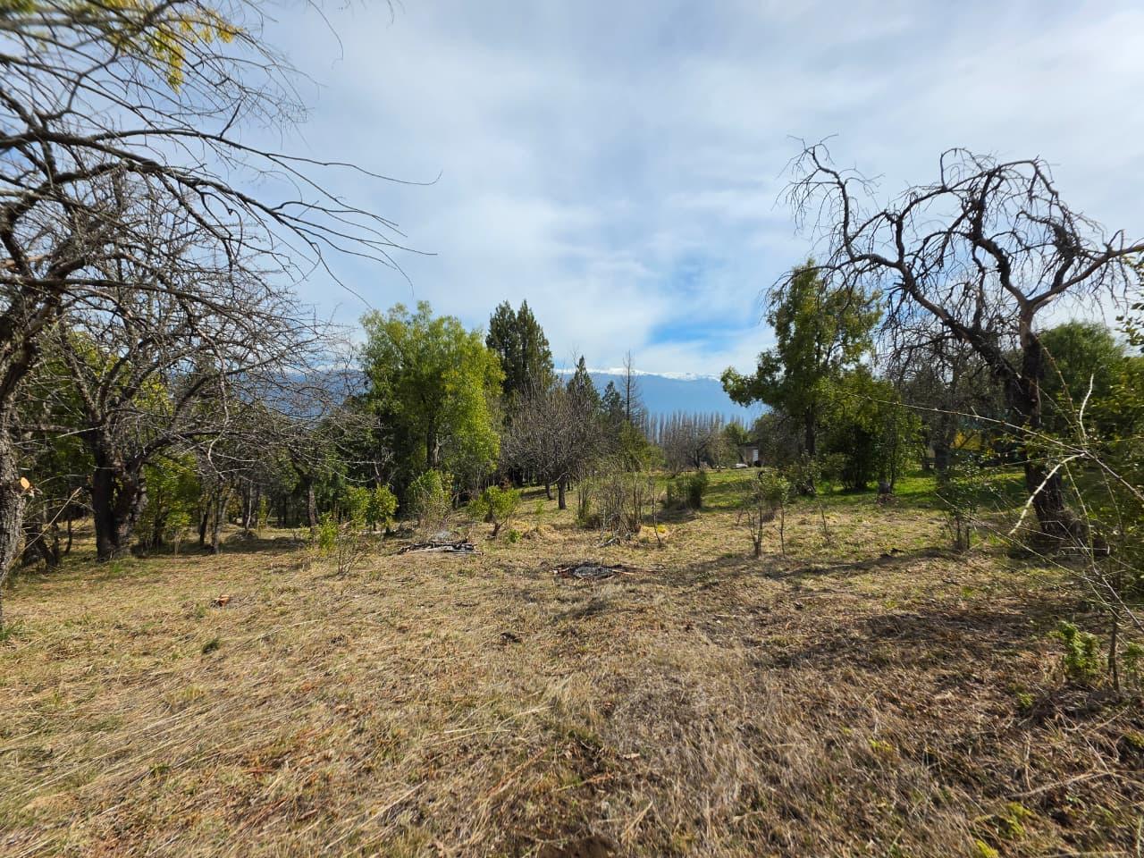 Media Hectarea con bosque nativo en Las Golondrinas, Chubut