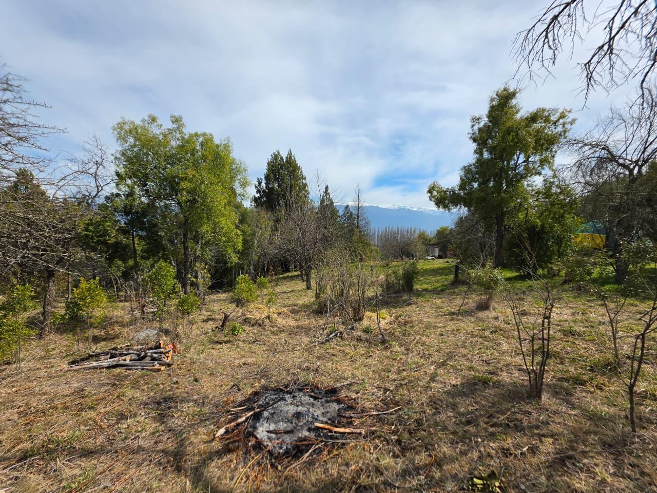 Foto de Media Hectarea con bosque nativo en Las Golondrinas, Chubut, imagen 2