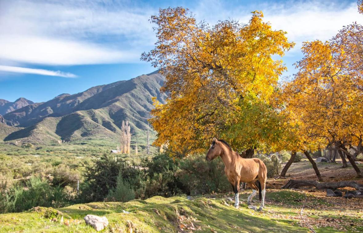 Terrenos en La Crucesita 2