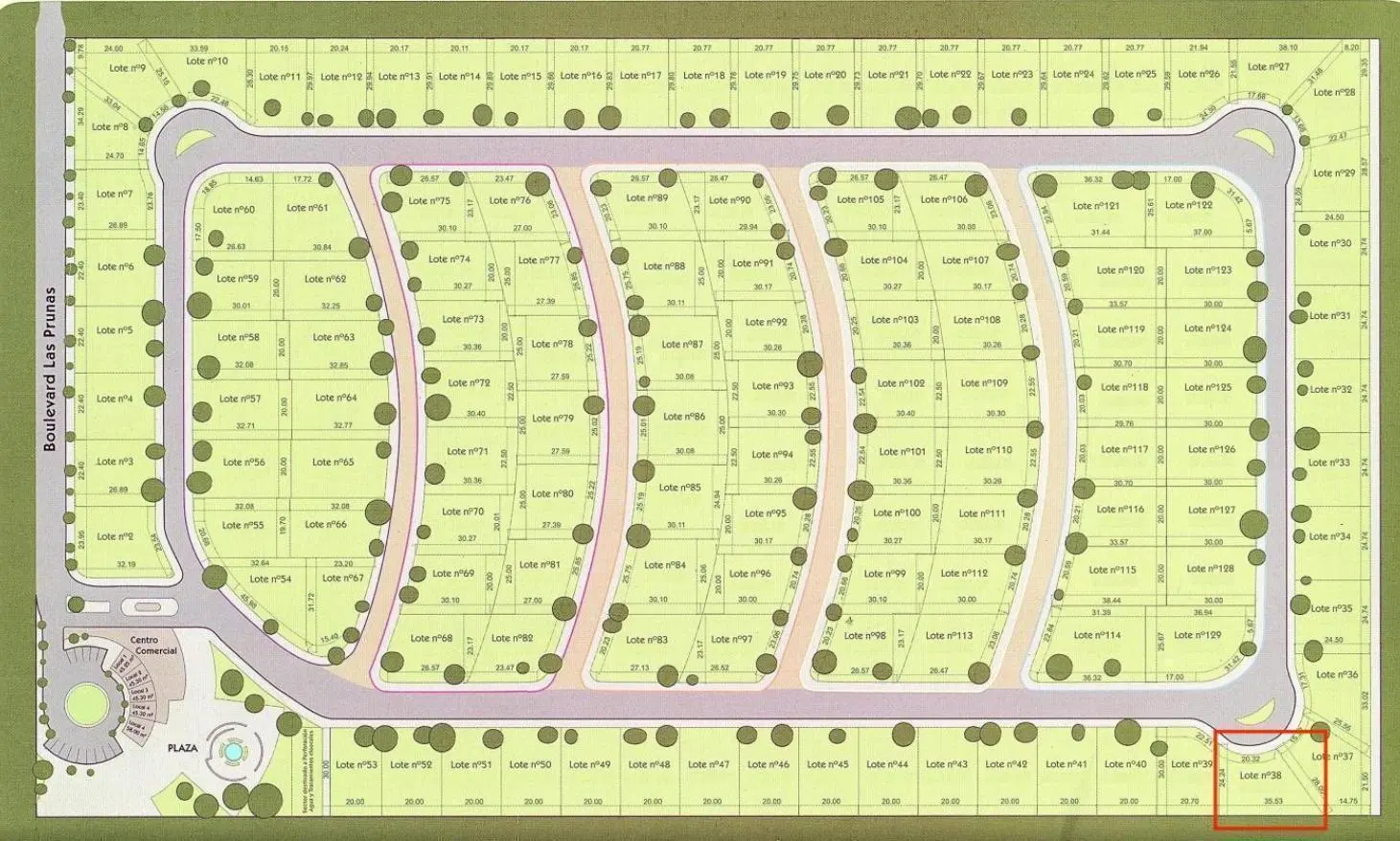 Plano 1