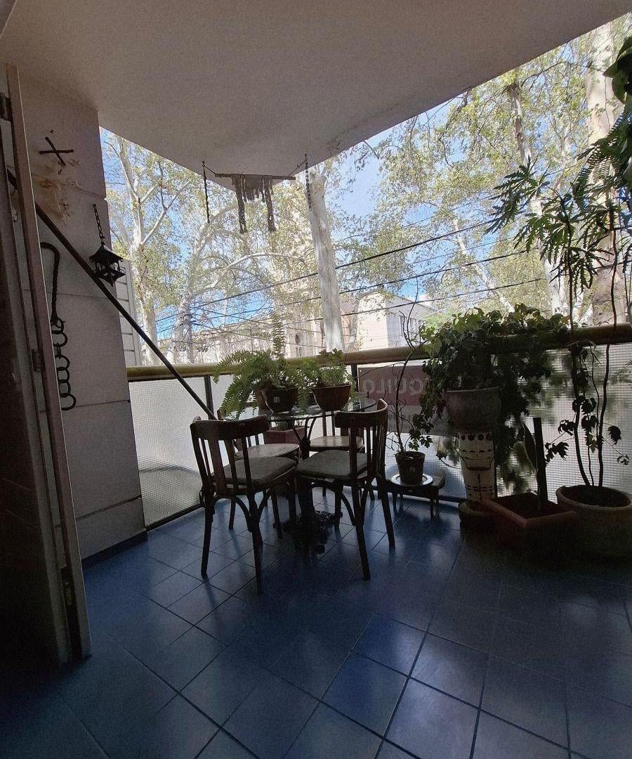 Foto de ALQUILER DEPTO CATEGORÍA EN EL CORAZÓN DE LA QUINTA SECCIÓN DE LA CDAD, imagen 3