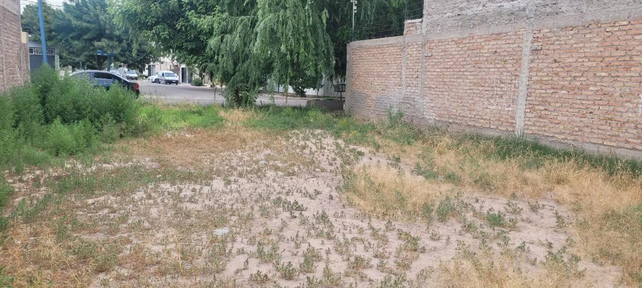 OPORTUNIDAD TERRENO EN CARRODILLA