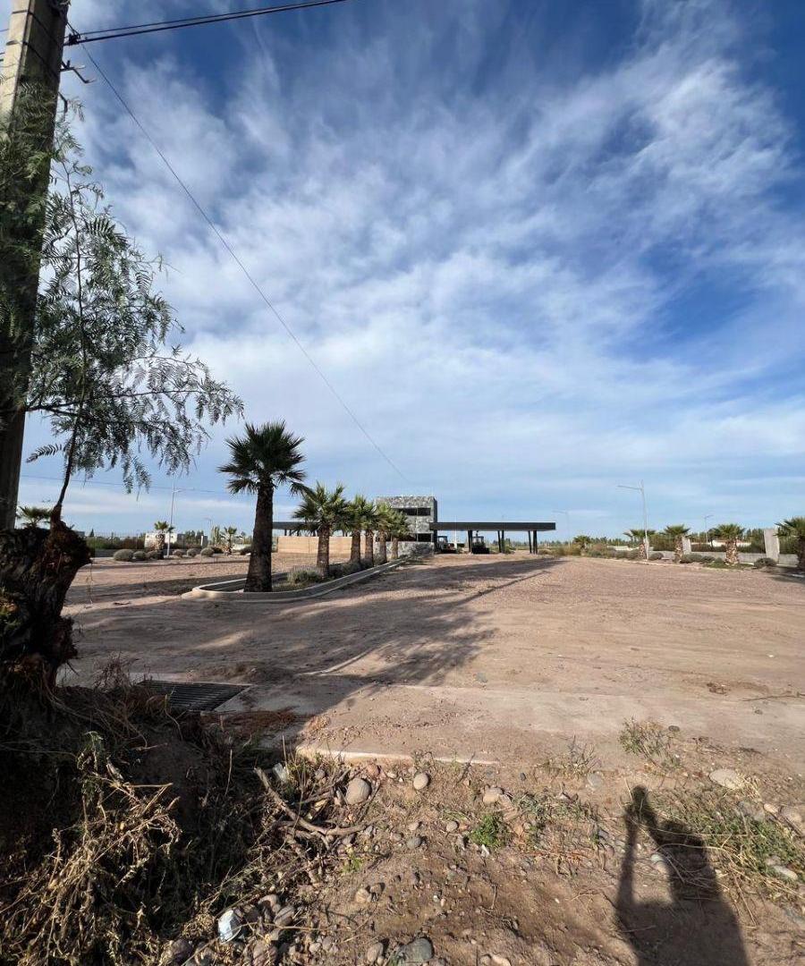 Foto de GRAN OPORTUNIDAD DE LOTE AMPROS X, imagen 4