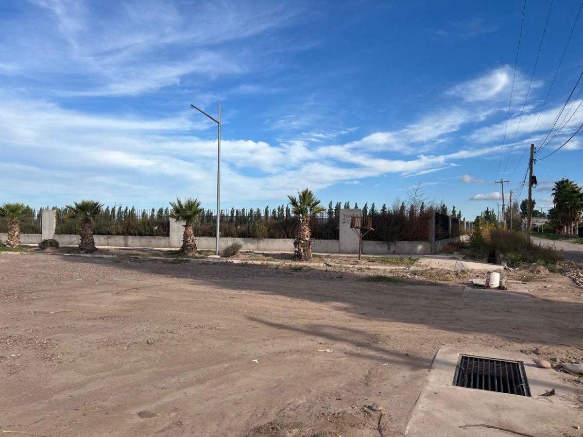 Foto de GRAN OPORTUNIDAD DE LOTE AMPROS X, imagen 3