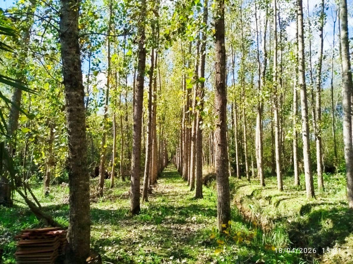 Foto de Quinta sobre el Arroyo Durazno, imagen 3