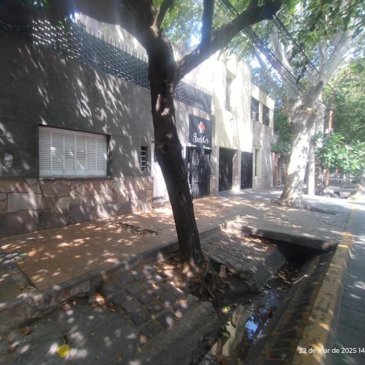 Venta Casa Calle España de Ciudad de Mendoza con Local Comercial 3