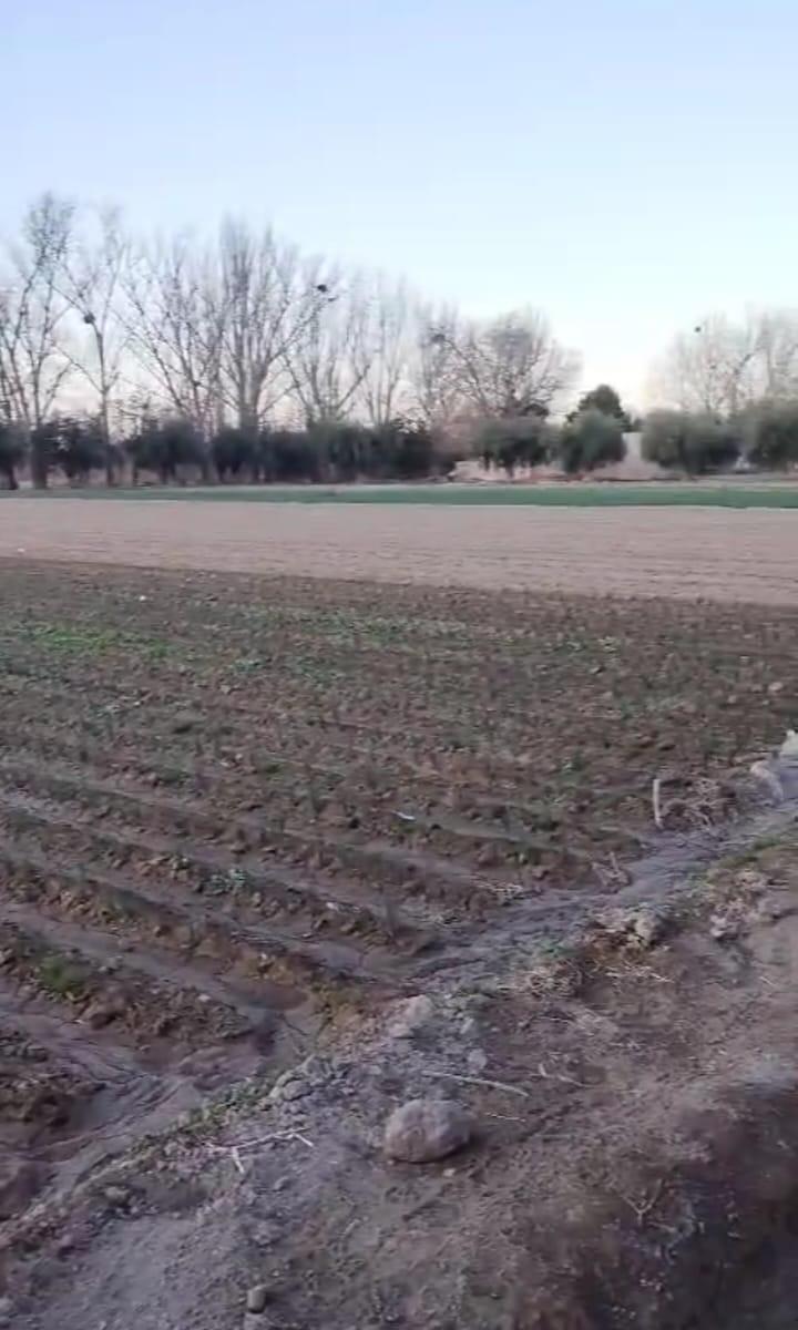 Hermosa Finca de 7 Ha (67988 M²). Excelente Ubicación 1