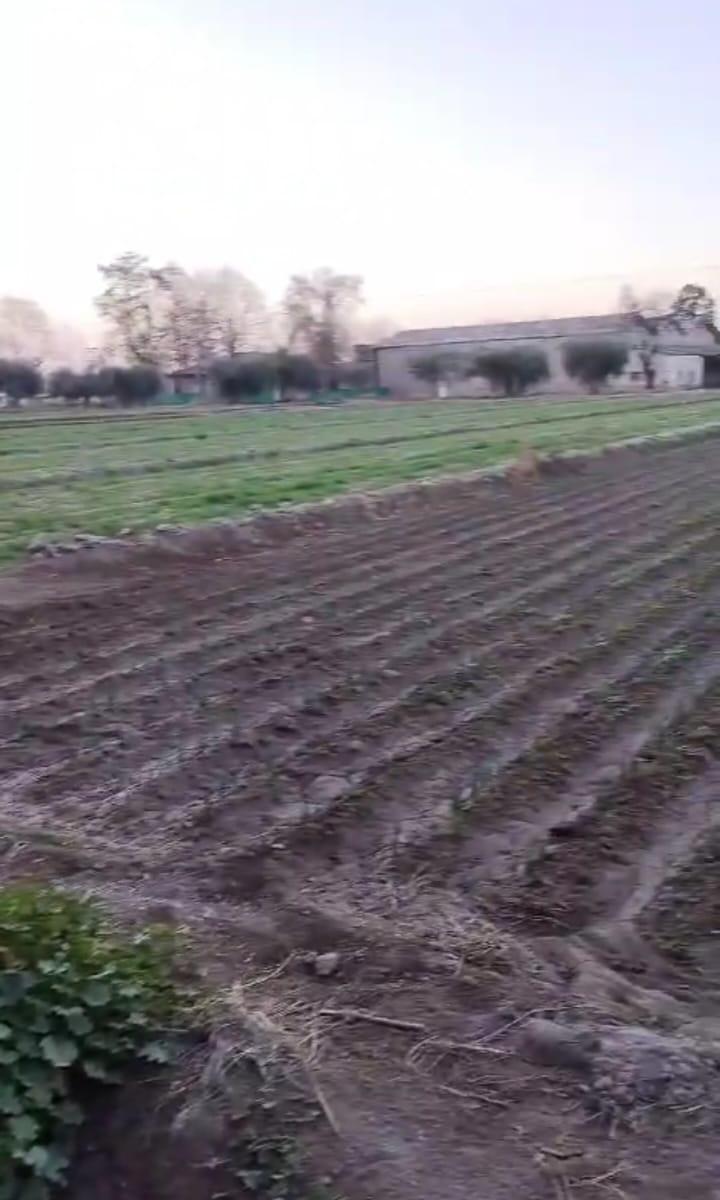Hermosa Finca de 7 Ha (67988 M²). Excelente Ubicación 4