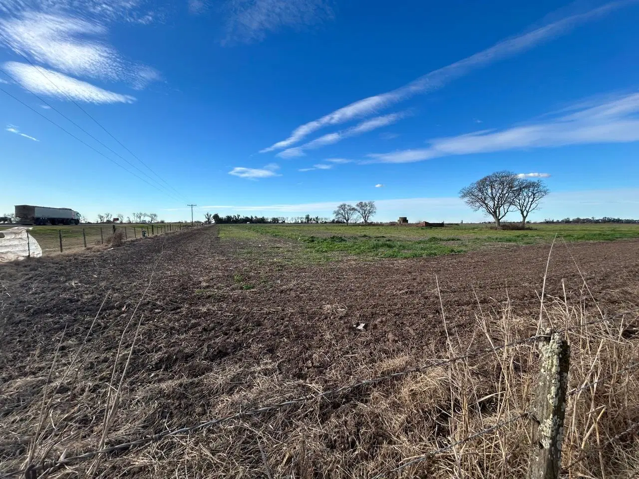 Campo 107 Ha  en Roldán 8