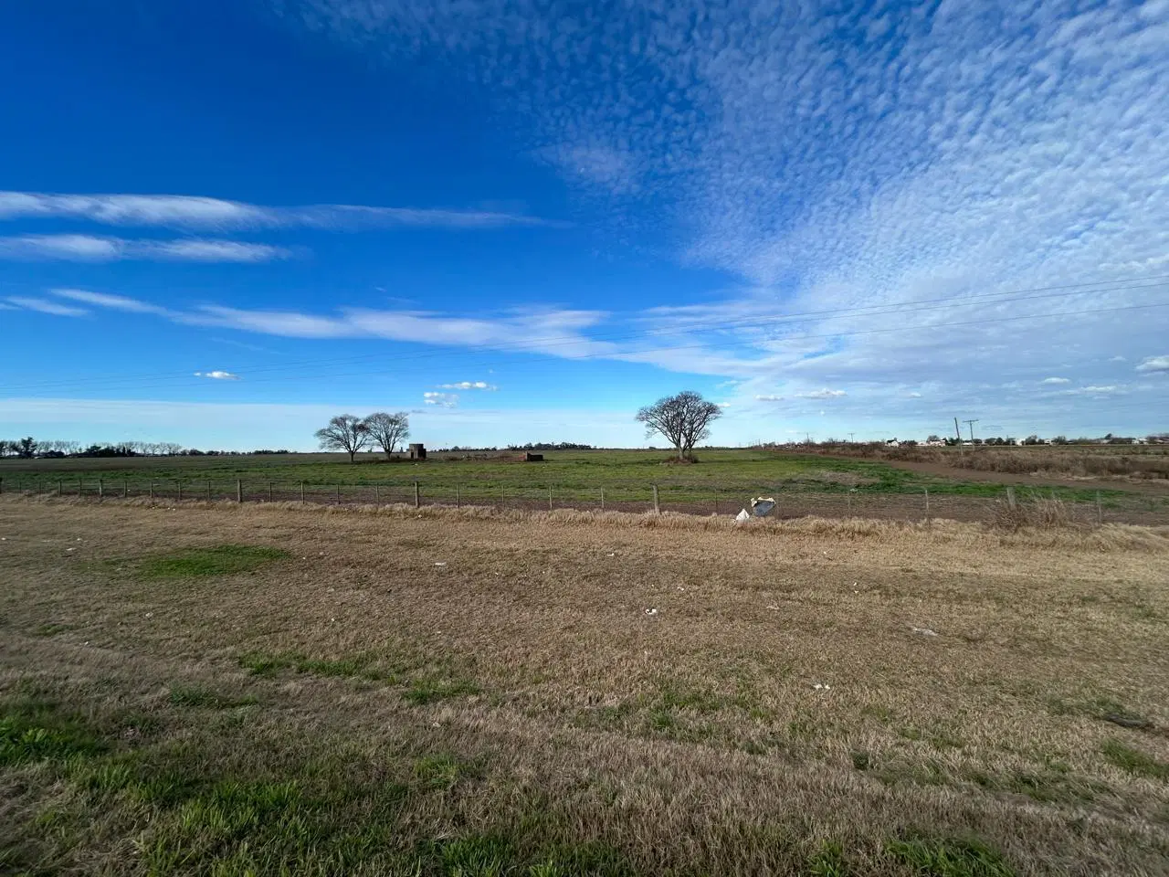 Campo 107 Ha  en Roldán 3