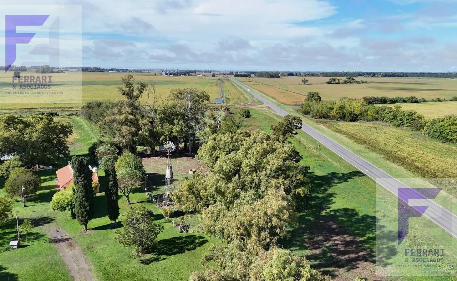 Venta de Campo 77 hectáreas, Baradero, Provincia de Buenos Aires, productivo agrícola 3