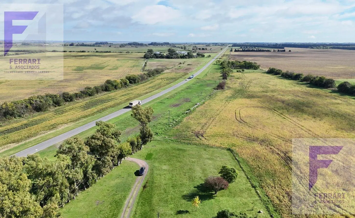 Campo productivo de 67 ha en venta en Baradero, Provincia de Buenos Aires sobre la ruta 4