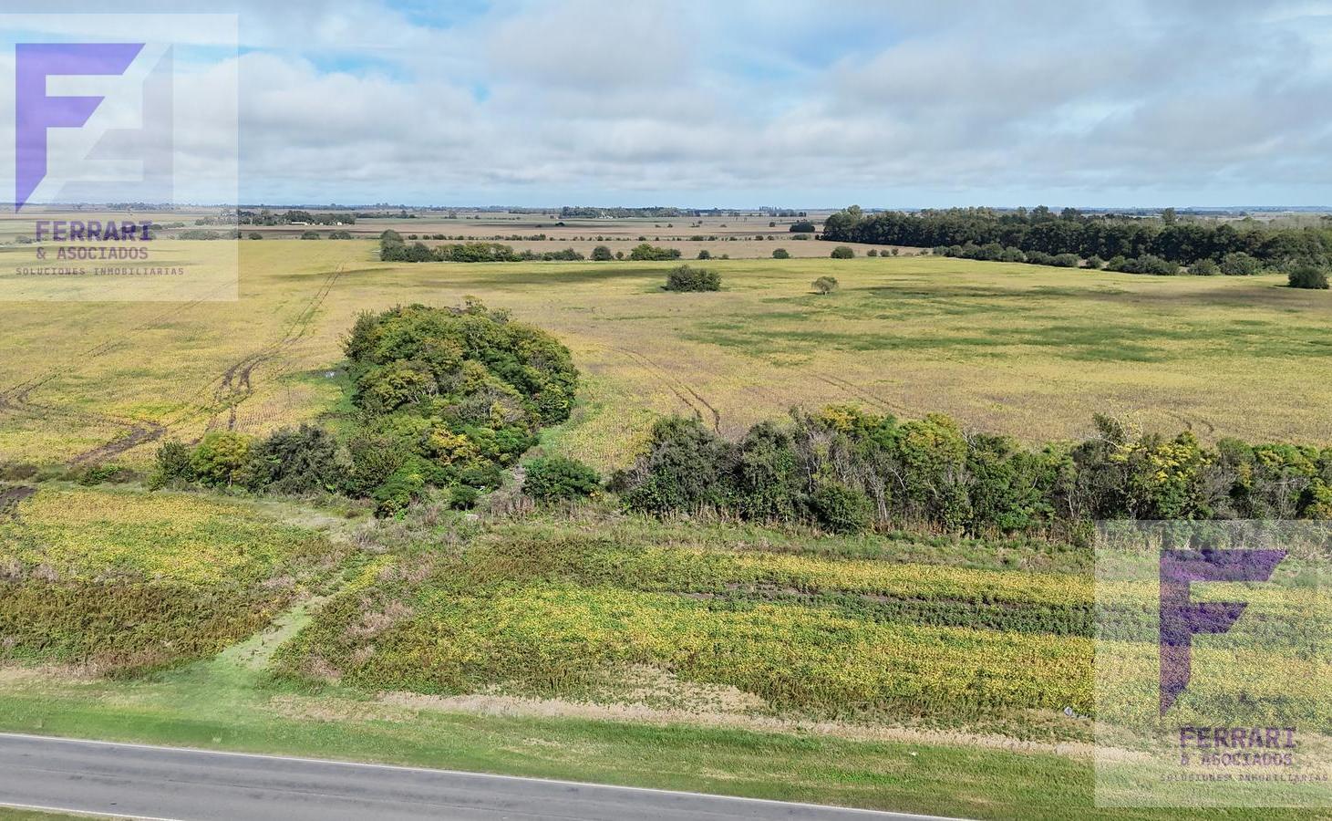 Foto de Campo productivo de 67 ha en venta en Baradero, Prov, de Buenos Aires, imagen 4