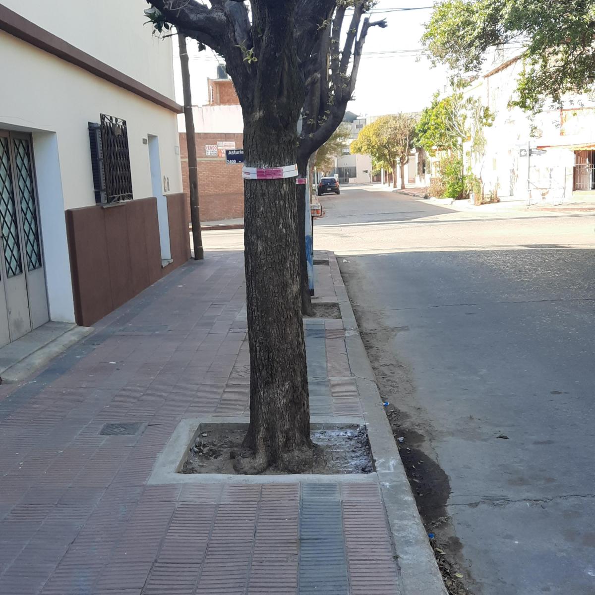 Casa en P. Baja y Dpto. Independiente en P. Alta. + Taller Independiente. 2