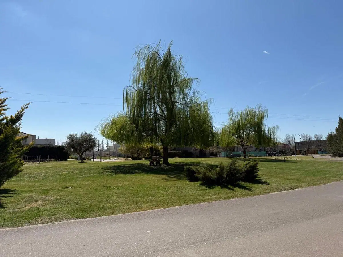 Terreno de 545 m² en venta en Vistalba, Luján 2