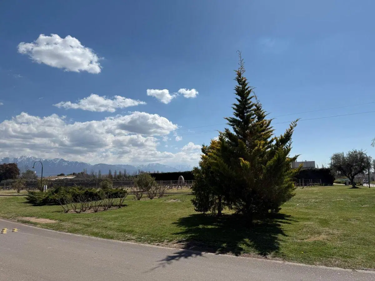Terreno de 545 m² en venta en Vistalba con vigilancia 2