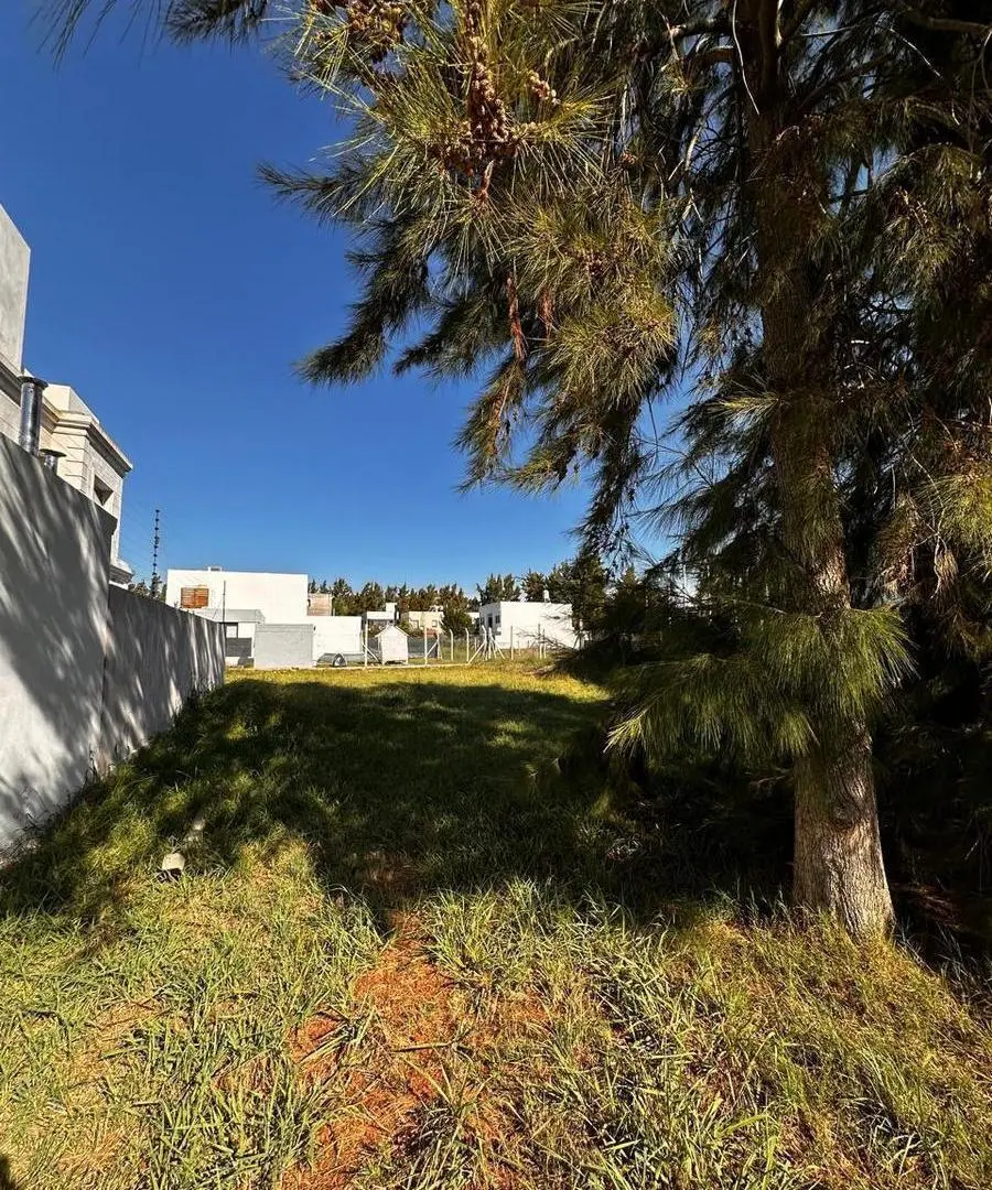 Terreno en venta en Manuel B Gonnet 3