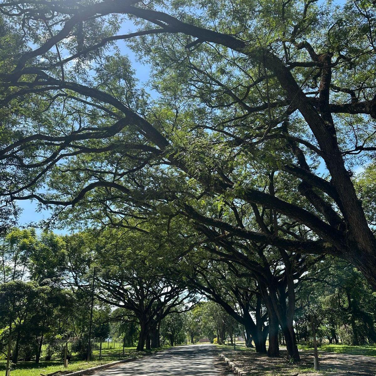 Lote en Venta en La Verbena 1