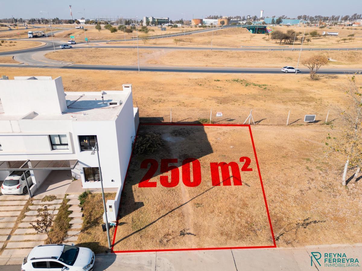 Foto de Terreno en venta Lomas de manantiales (Manantiales 1), imagen 2