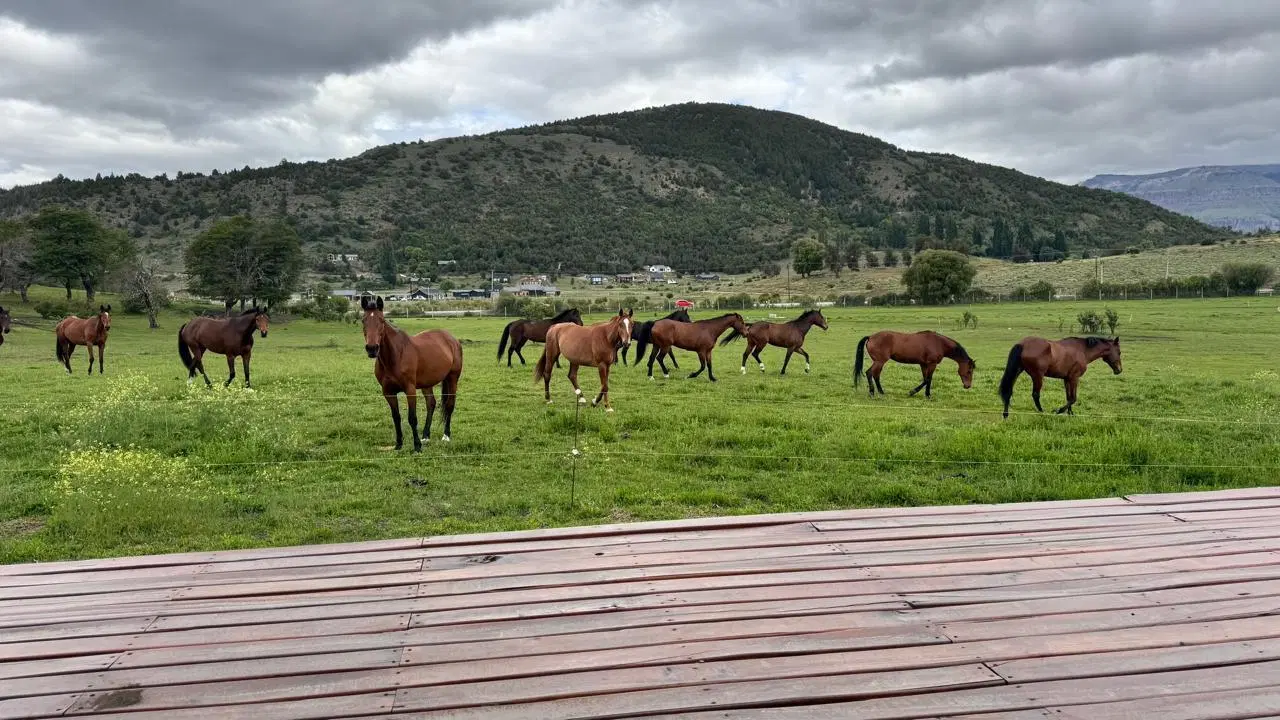 Venta Cabaña de 2 Dormitorios en Estancia Los Ñires, San Martín de los Andes 3
