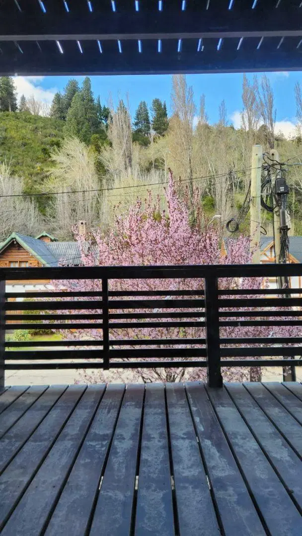 Departamento en San Martin De Los Andes 2