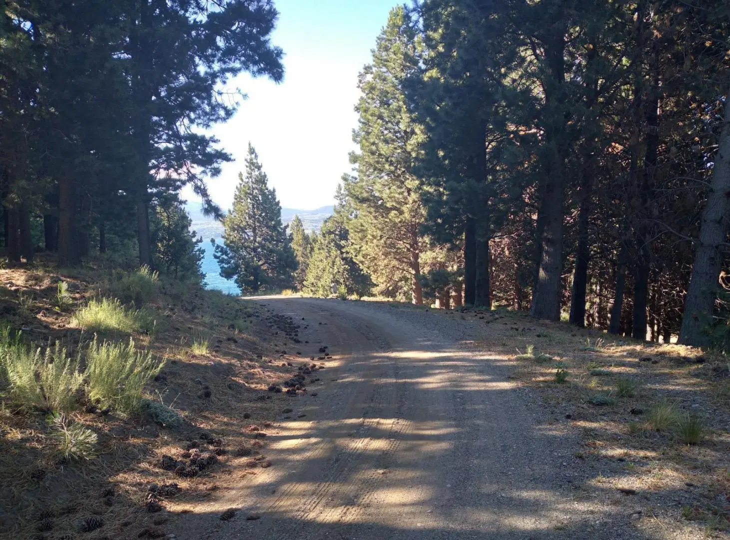 Terreno en Junin De Los Andes 3