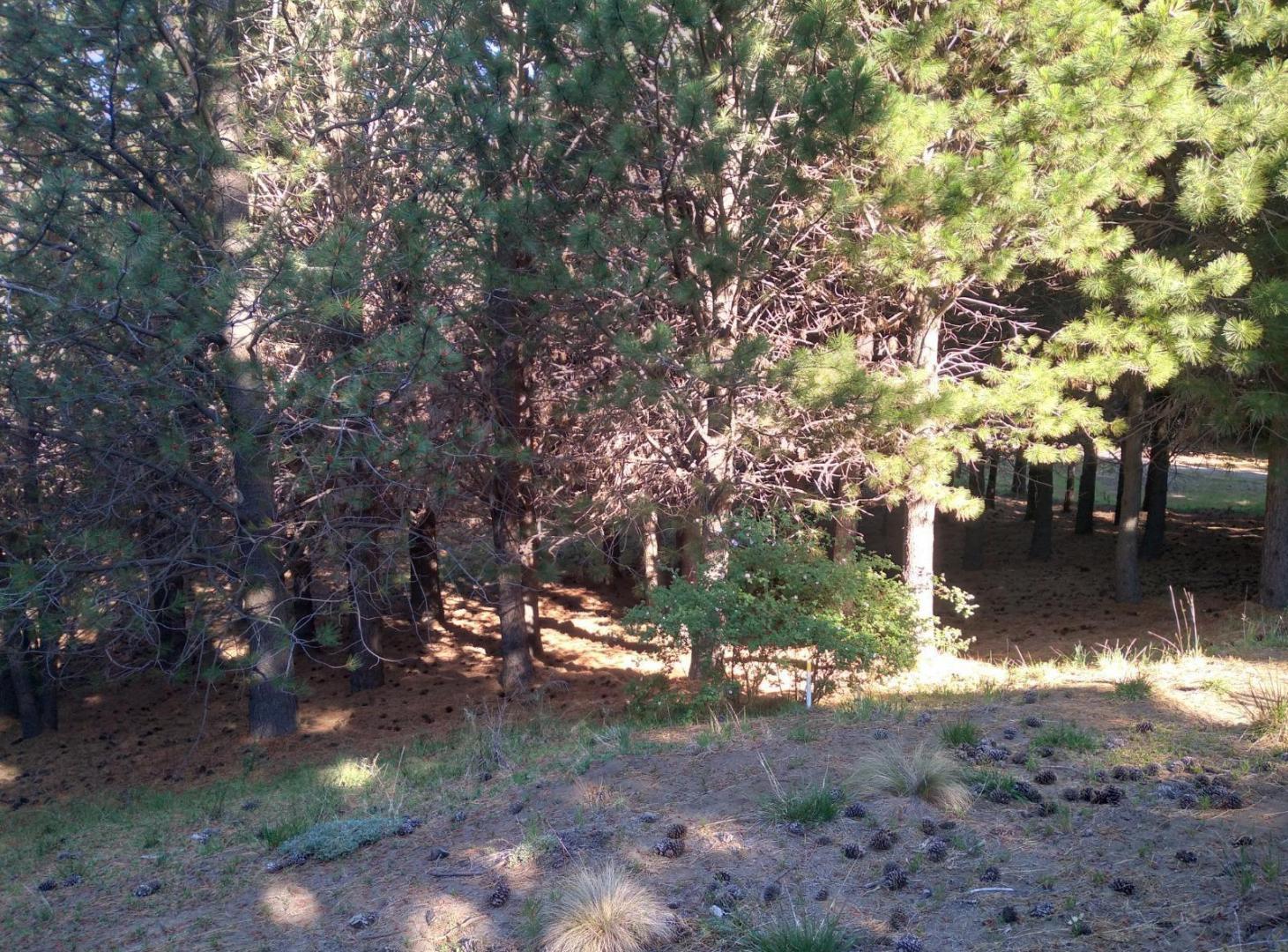 Foto de Terreno en Junin De Los Andes, imagen 1