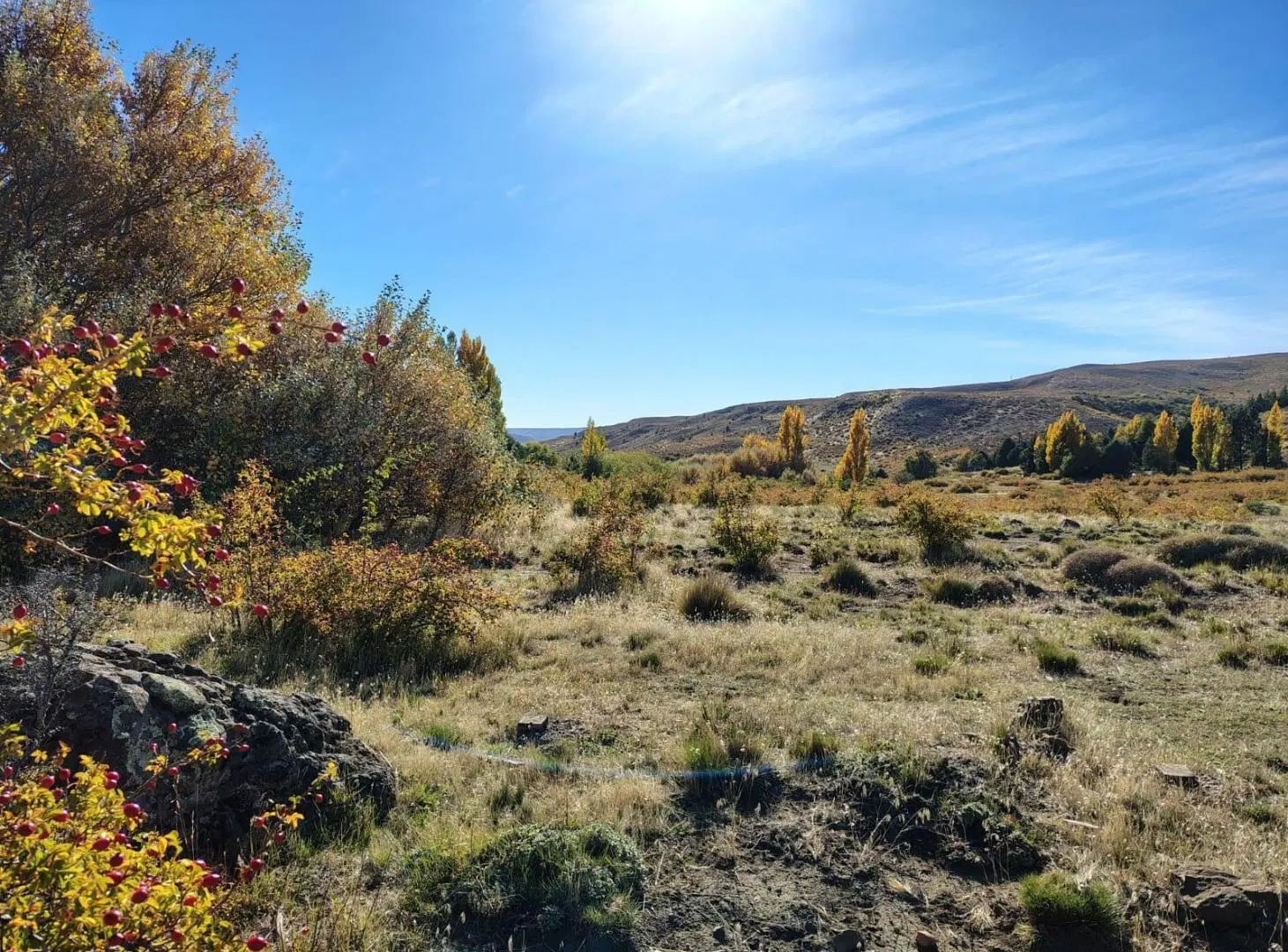 Terreno en venta San Martín de los Andes Paraje Chapelco Grande 5